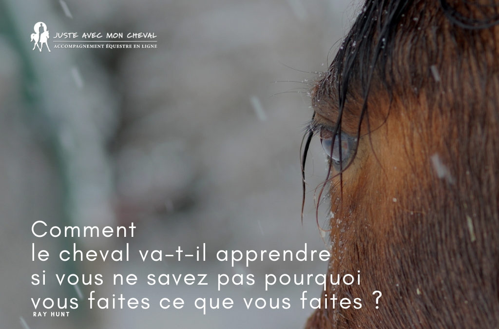 Pourquoi est-ce que tu fais ce que tu fais ?