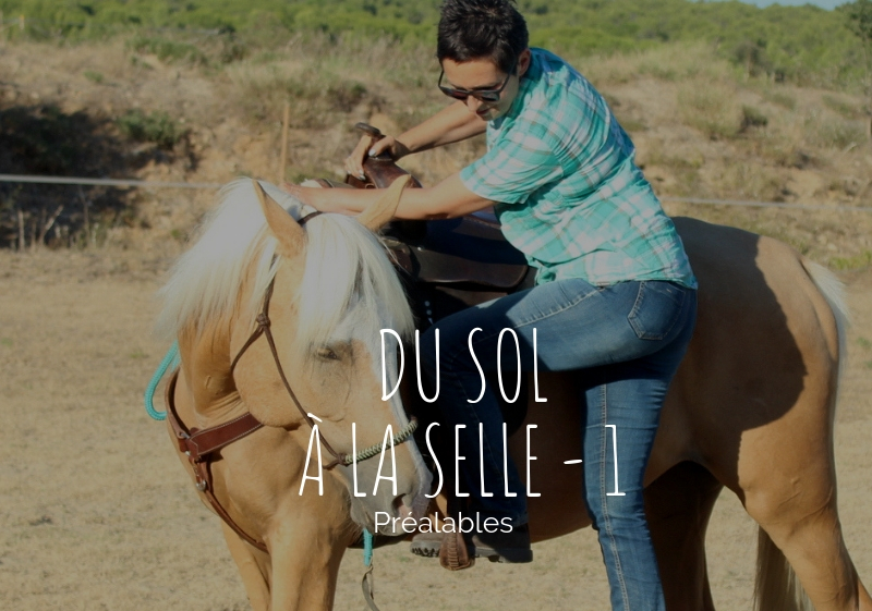 Du sol à la selle : 1° partie - Juste avec mon cheval